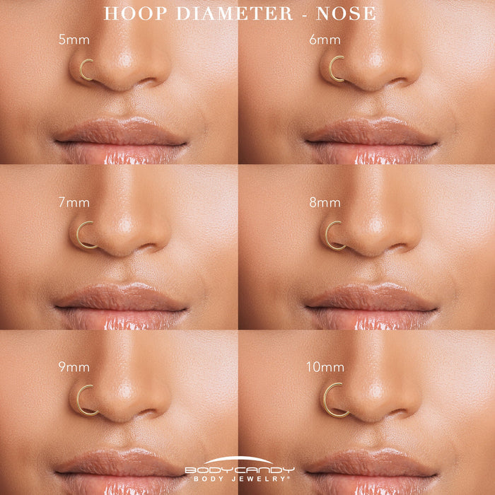 20G Implant Grade Titanium Triple Sided Micro Gem Hinged Nose Hoop
