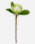 26” Queen Protea Spray ( HSP005-Green/Cream )