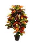 3’ Artificial Eva Croton Plant ( LPF828-GR/PK )