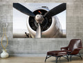 Airplane Propeller Blades Canvas Art #3021