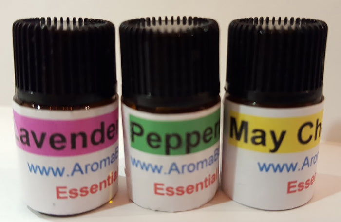AromaBUG™ JUMBO Size 38mm 1-1/2 in. dia.  (30 Designs) with Essential Oil and Pads. FREE SHIPPING