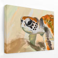 Baby Turtle - Animals Canvas Wall Art