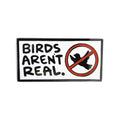 Birds Aren't Real Pin