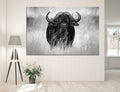 Bison Canvas Print #8008