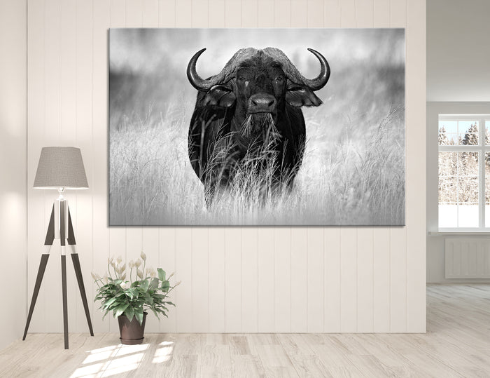 Bison Canvas Print #8008