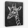 Black and White Giraffe - Africa Canvas Wall Art