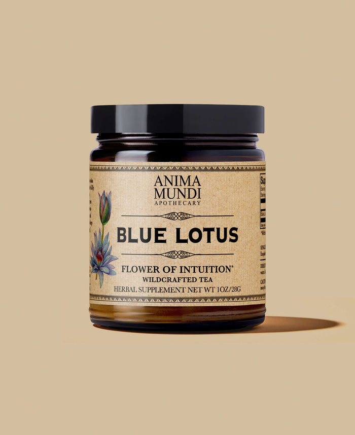 BLUE FLOWER | Blossom of Intuition*