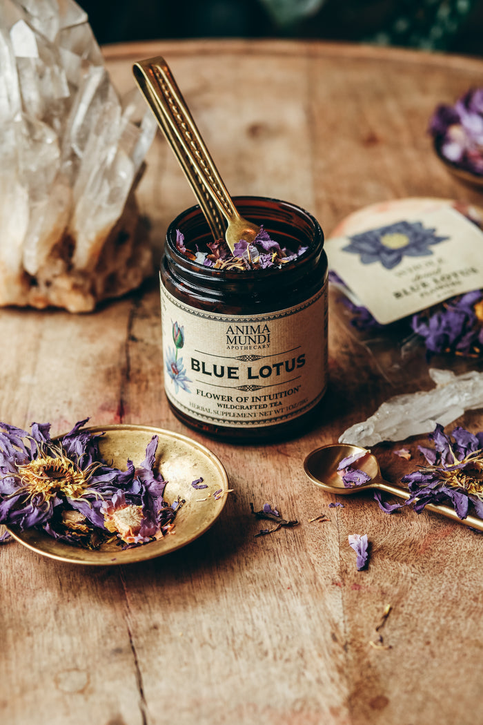 BLUE FLOWER | Blossom of Intuition*