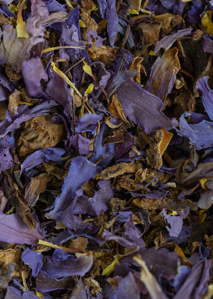 Close-up of dried purple and brown flowers and leaves