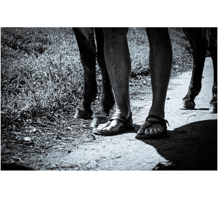Christopher McDougall Signed! - Running with Sherman: The Donkey with the Heart of a Hero - Sherman photo, black and white
