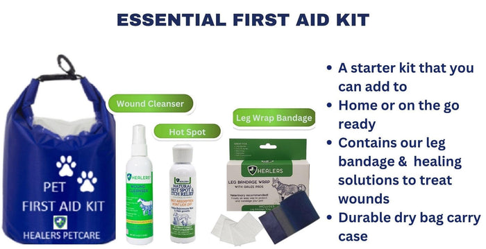 Essential first aid kit containing multiple first aid supplies for emergency medical needs and safety preparedness.
