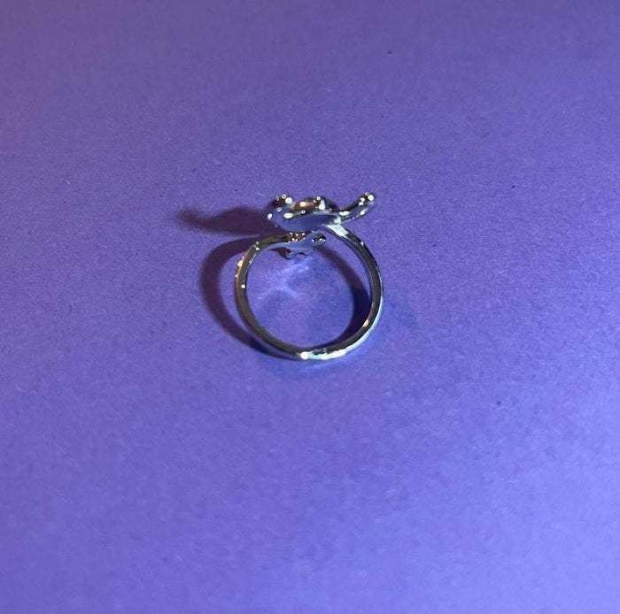 Face Ring with Adjustable Sizing - Limited Edition for Fans and Lovers