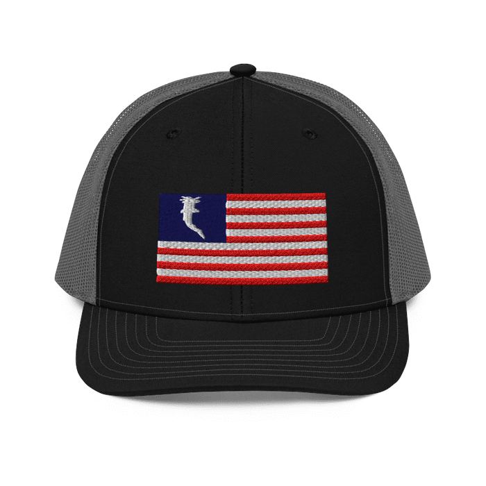 Flag Embroidered RWB (Snapback)