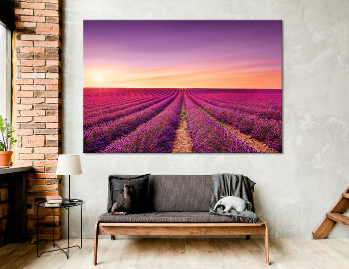 Flower Field Canvas Print #7022