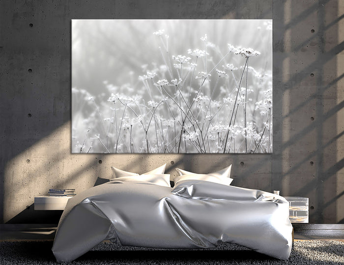 Foggy Landscape Canvas Print #7507