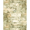 Gift Wrap - GW-8146 Paper Birch - 24 X 417’ - GW814624X417