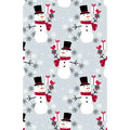 Gift Wrap - Frosty Flakes - 24 X 417’ - GW9291 24X417