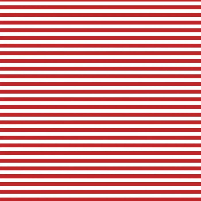 Gift Wrap - Red & White Stripe - Recycled Fiber - Jewelry