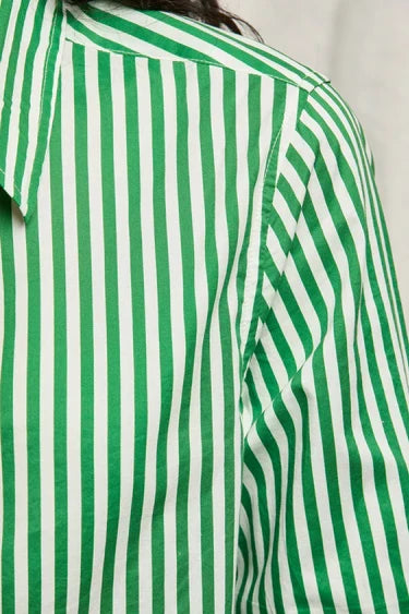 Gisele Button Up-Green Stripe