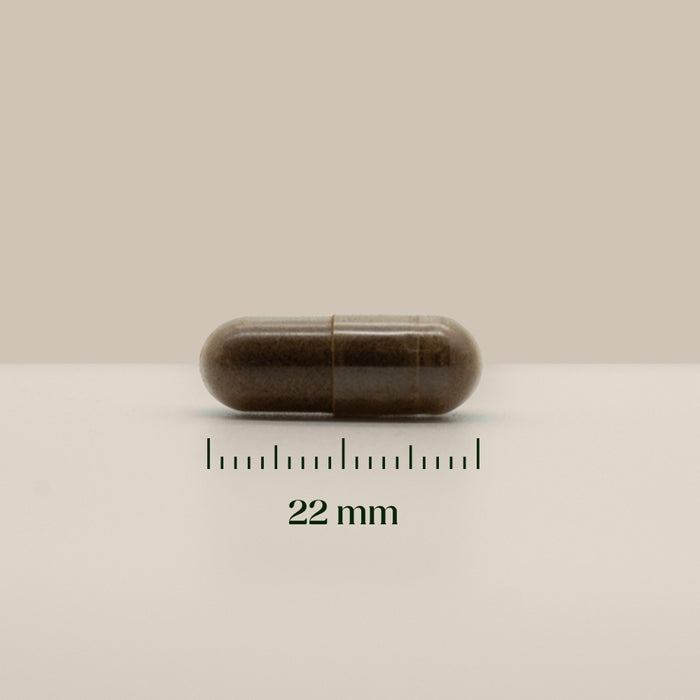 Hairgivers Ashwagandha supplement 500 mg | 60 capsules (vegan)