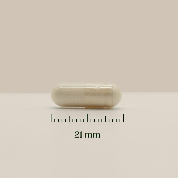 Hairgivers NAC supplement 600 mg | 240 capsules (N-acetylcysteine)