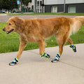 Healers - Goodyear Adventure Paws (2 boots per package)