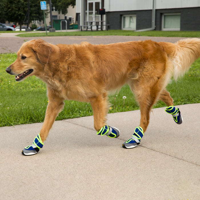 Healers - Goodyear Adventure Paws (2 boots per package)