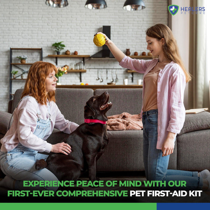 A comprehensive pet first aid kit, including essential supplies for treating minor injuries and emergencies in animals.
