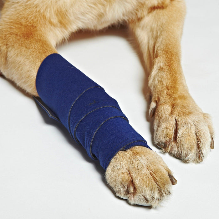 Close-up of dog's lower leg wrapped in blue Healers Elastic Wrap Leg Bandage. Dog's paw and leg fur shown. White background.