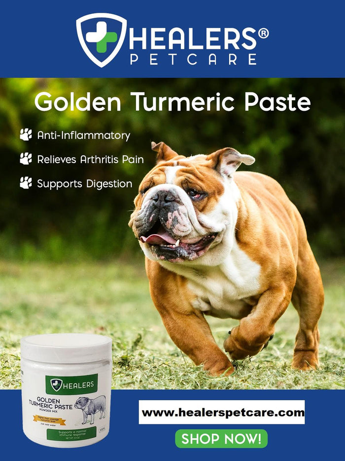 Ad for Healers Golden Turmeric Paste. Bulldog dog in foreground, product jar in lower left. Lists benefits: anti-inflammatory, arthritis relief, digestion. HealersPetCare.com and 'Shop Now'.