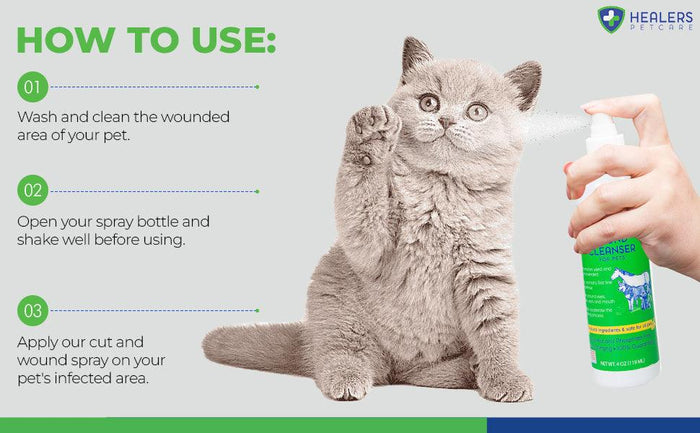 Gray fluffy kitten raising paw while a hand sprays Healers Wound Cleanser for Pets on its head, with usage instructions for pet wound care.