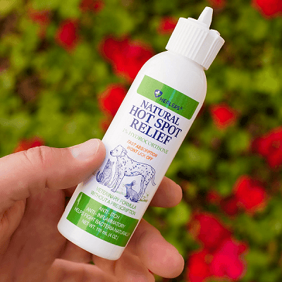 Hand holding Healers PetCare Natural Hot Spot Relief spray bottle for dogs with blurred greenery and red flowers background.