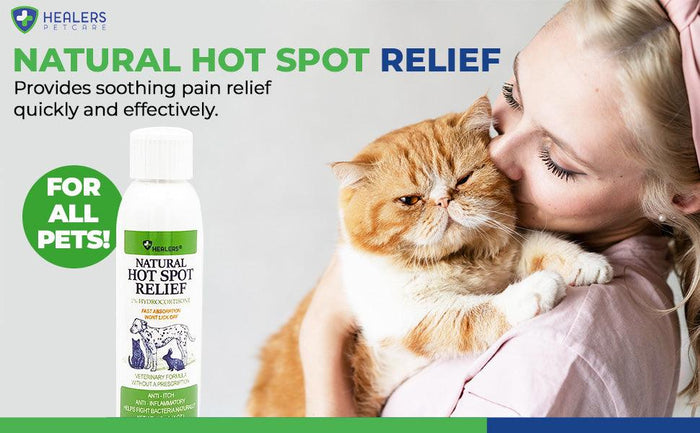 Woman holding a grumpy orange and white cat next to Healers PetCare Natural Hot Spot Relief bottle. Text says natural hot spot relief provides soothing pain relief quickly and effectively, for all pets.