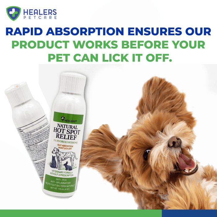 Healers PetCare Natural Hot Spot Relief bottles with fast absorption and a happy small dog playing, highlighting that the product works before pets can lick it off.