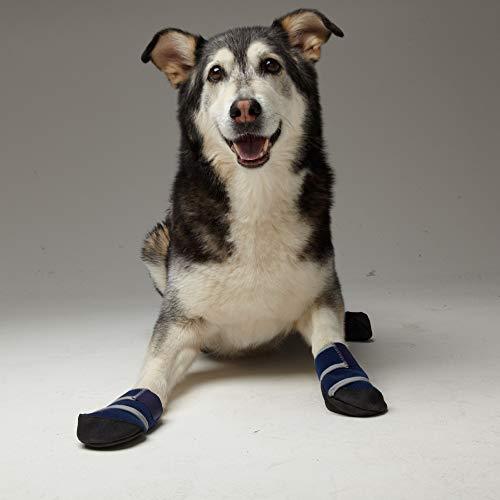 Smiling dog wearing Healers Booties on front paws, designed for paw protection and injury healing
