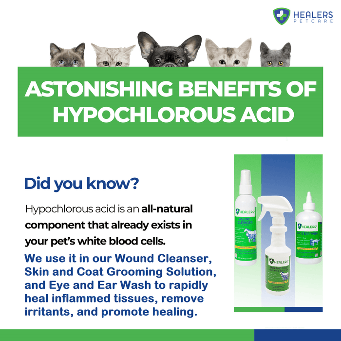 Healers Petcare infographic highlighting astonishing benefits of hypochlorous acid, natural component in white blood cells, used in wound cleanser, grooming solution, and eye and ear wash for pets, with product images and cats peeking above the title.