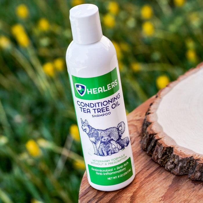 Healers Conditioning Tea Tree Oil Shampoo is antimicrobial, anti-itch, and anti-inflammatory. It gently cleanses and rejuvenates your pet’s skin and coat with a soothing, natural formula safe for all pets.