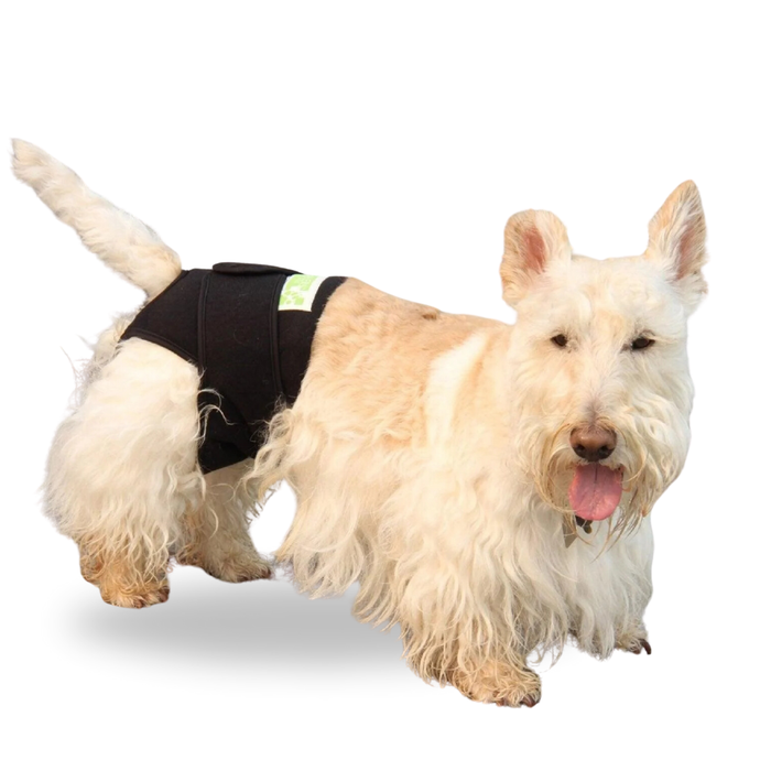 Healers Rear Body Wrap offers secure, gentle support for pets dealing with incontinence, post-surgery recovery, or pets in heat. Its breathable fabric and snug fit ensure comfort while helping manage accidents and speed up healing.