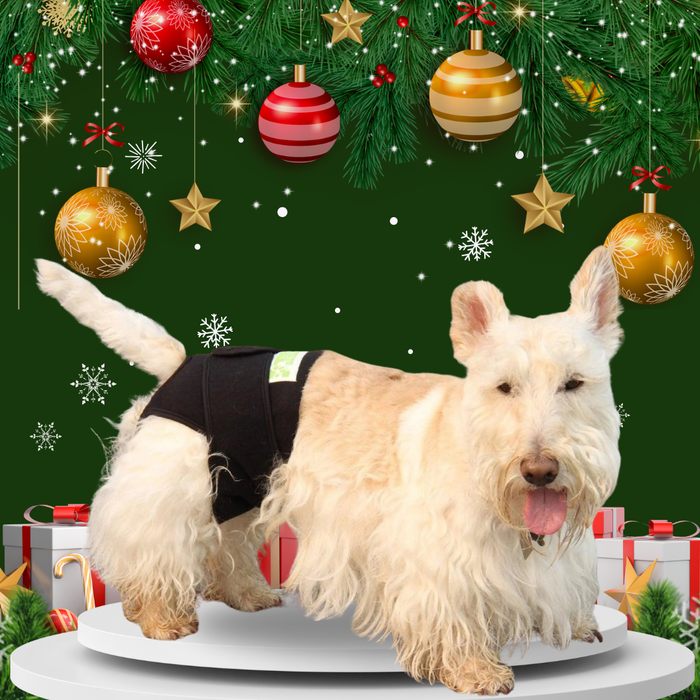 Keep your pet cozy and secure this holiday season with our rear body wrap. Perfect for post-surgery, incontinence, or calming anxiety. Choose the right size based on girth and underbelly length for a snug, supportive fit.