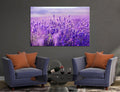 Lavender Canvas Print #7514