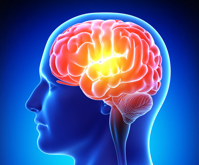 Memory BOMB™ Essential Oil Blend