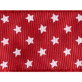 Mini Stars Wired Ribbon - Single Roll / 1’’ x 22 yd