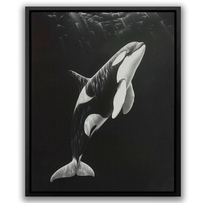 Monochrome Orca - Large Contemporary Canvas Print