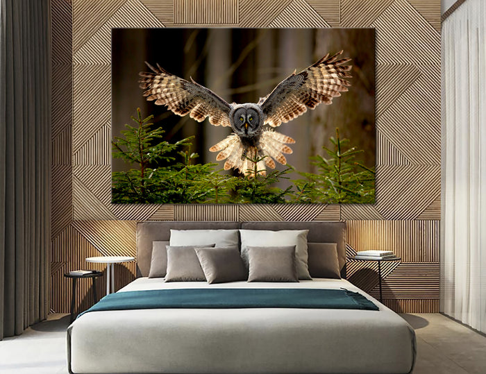 Owl Canvas Print #8015