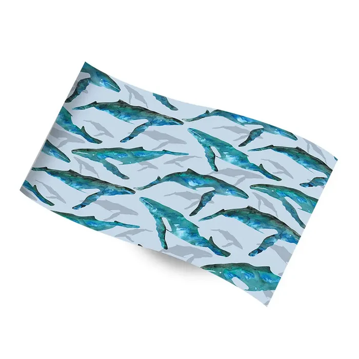 Printed Tissue Paper - Whale Watch - RC-1243