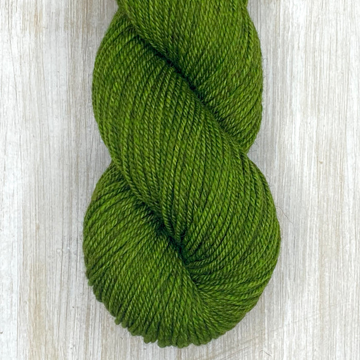 ROAN DK "Cerignola"