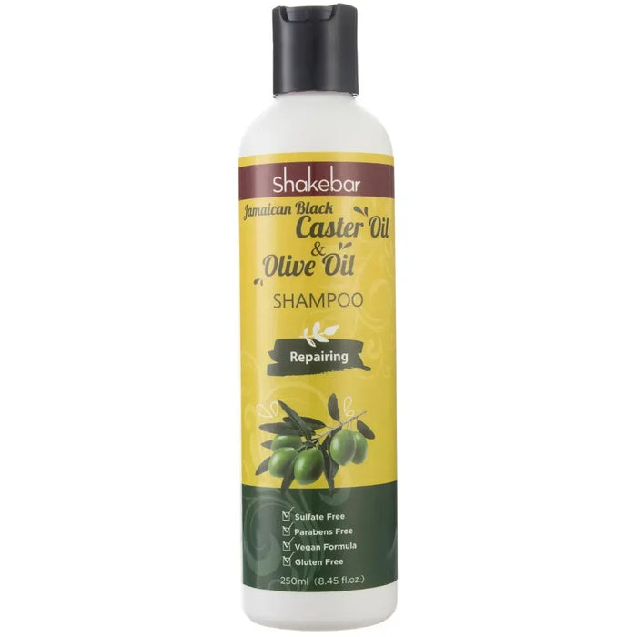 Shakebar Repair & Moisturizing treatment - Hairgivers