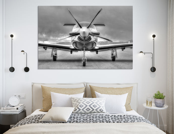 Silver Plane Canvas Print #3008