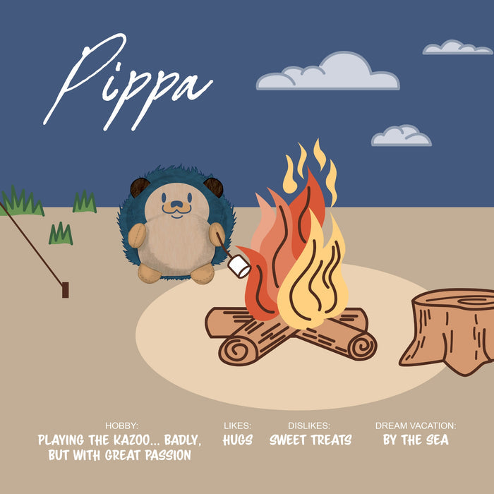 Meet Sugar Skwisheez: Tree Huggers—a plush hedgehog sitting by a campfire, toasting a marshmallow! Text reveals their hobby (playing the kazoo), likes (hugs), dislikes (sweet treats), and dream vacation (by the sea).