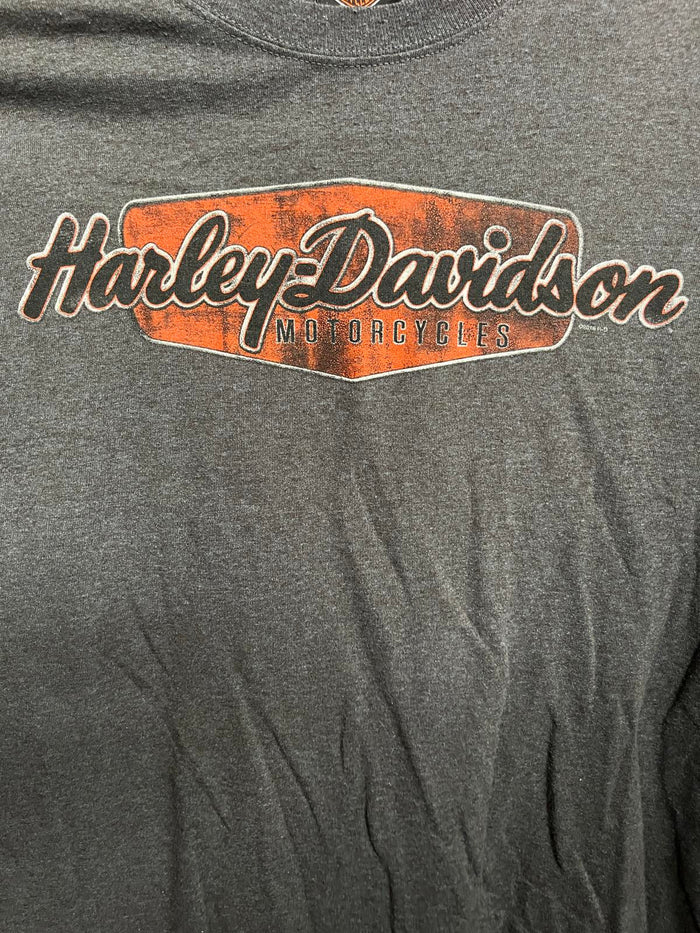 T-shirt Harley Davidson Surfboard Flames Bald Eagle Surf Tee